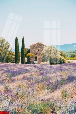 File tranh File tranh gốc in tranh tường nền tổng hợp H19243 (ảnh gốc) in trần nhà