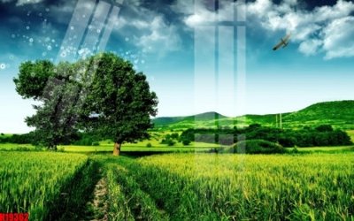 File gốc File tranh gốc in tranh tường nền tổng hợp H19362 (thiết kế) độc quyền