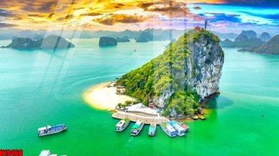 File tranh File tranh gốc in tranh tường nền tổng hợp H19468 (gốc) in film