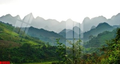 File tranh PSD File tranh gốc in tranh tường nền tổng hợp H19555 chất lượng cao