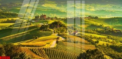 File gốc File tranh gốc in tranh tường nền tổng hợp H19556 (Filetranh.com) File tranh gốc in tranh tường nền tổng hợp H19556