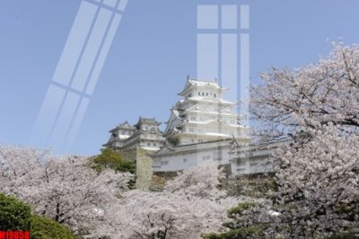 File tranh gốc File tranh gốc in tranh tường nền tổng hợp H19858 (sắc nét từng chi tiết)