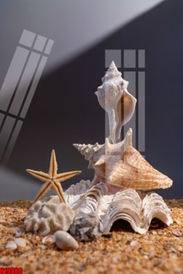 File gốc in ấn File tranh gốc in tranh tường nền tổng hợp H19888 chất lượng vượt trội