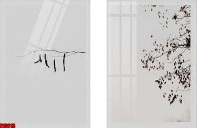 File PSD File tranh gốc in tranh tường nền tổng hợp H19913 (nguyên bản) cho thiết kế