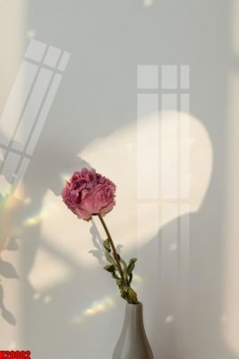 Download file gốc File tranh gốc in tranh tường nền tổng hợp H20002 (in mica) 3D