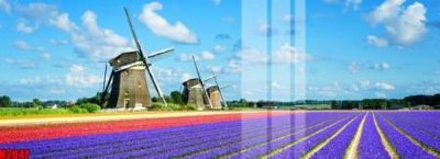 File PSD in ấn File tranh decor tranh bộ treo tường tổng hợp H2047 (chất lượng cao)