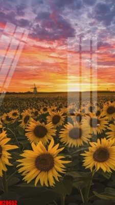 File in mica File tranh gốc in tranh tường nền tổng hợp H20652 (ảnh gốc) đẹp