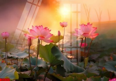 File in trần File tranh gốc in tranh tường nền tổng hợp H20848 (file gốc) xuyên sáng