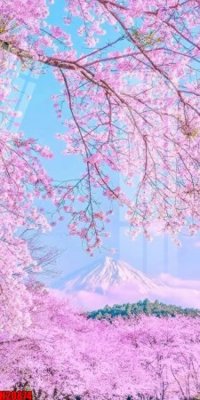 File gốc File tranh gốc in tranh tường nền tổng hợp H20874 (in tráng gương) ốp tường