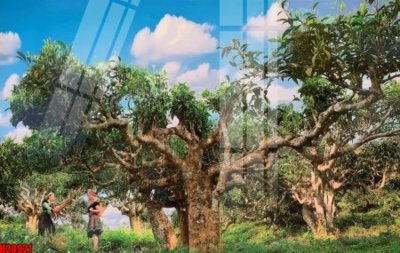 File gốc File tranh gốc in tranh tường nền tổng hợp H20921 (in ấn) không giới hạn