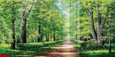 Ảnh gốc File tranh gốc in tranh tường nền tổng hợp H20973 (siêu chi tiết) để in ấn