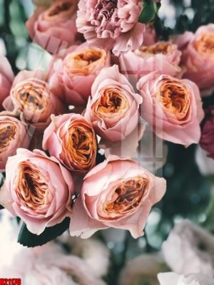 File PSD File tranh gốc in tranh tường nền tổng hợp H21176 (gốc) nhiều lớp (multi-layer)