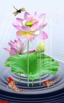 File gốc File tranh gốc in tranh tường nền tổng hợp H21267 (in tráng gương) hiện đại