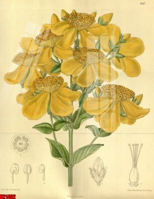 File ảnh gốc File tranh gốc in tranh tường nền tổng hợp H21462 không vỡ nét