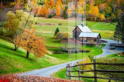 File gốc File tranh gốc in tranh tường nền tổng hợp H21537 (trang trí) phòng làm việc