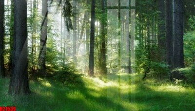 File gốc File tranh gốc in tranh tường nền tổng hợp H21539 (PNG) chất lượng cao