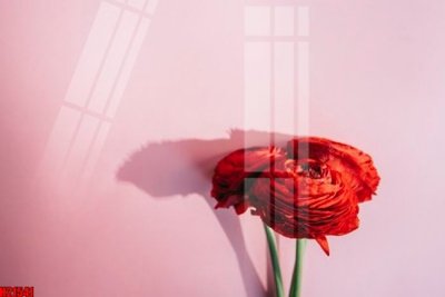 File tranh File tranh gốc in tranh tường nền tổng hợp H21541 (bản gốc) treo tường