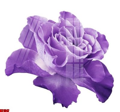 Tải file File tranh gốc in tranh tường nền tổng hợp H21547 (ảnh gốc) in tranh kính