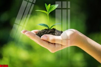 File tranh in trần File tranh gốc in tranh tường nền tổng hợp H21582 (ảnh gốc siêu nét)