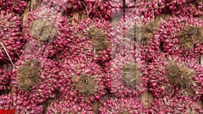 File ảnh File tranh gốc in tranh tường nền tổng hợp H21617 (gốc) in quảng cáo ngoài trời