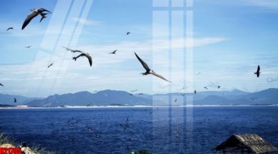 File gốc File tranh gốc in tranh tường nền tổng hợp H21795 (in tráng gương) hiện đại