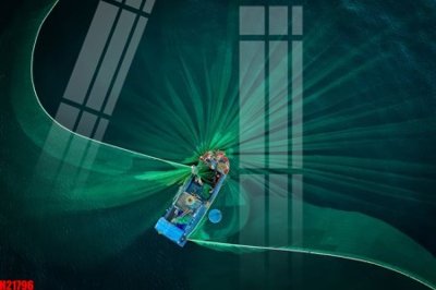 File in mica File tranh gốc in tranh tường nền tổng hợp H21796 (bản gốc) làm vách ngăn