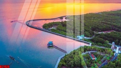 File gốc File tranh gốc in tranh tường nền tổng hợp H21924 (ảnh chi tiết) để in trần