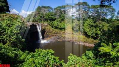 File in trần File tranh gốc in tranh tường nền tổng hợp H22048 (bản gốc) đại dương