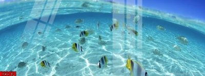 File tranh File tranh gốc in tranh tường nền tổng hợp H22074 (bản gốc) treo phòng ăn