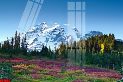 Download file tranh File tranh gốc in tranh tường nền tổng hợp H22089 (file gốc PSD)