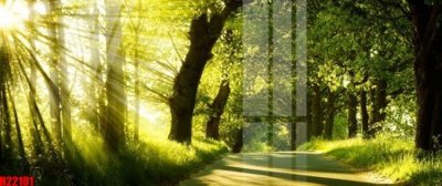 Tải file tranh gốc File tranh gốc in tranh tường nền tổng hợp H22101 chất lượng cao