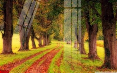 File tranh File tranh gốc in tranh tường nền tổng hợp H22112 (ảnh gốc) sắc nét hoàn hảo