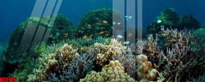 File tranh File tranh gốc in tranh tường nền tổng hợp H22125 (gốc) in vải canvas