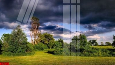 File tranh File tranh gốc in tranh tường nền tổng hợp H22148 (gốc) chủ đề thiên nhiên