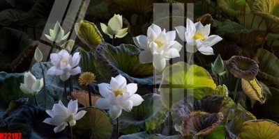 Tải file gốc File tranh gốc in tranh tường nền tổng hợp H22197 (bản PSD) chỉnh sửa được