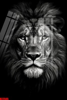 Download file ảnh gốc File tranh gốc in tranh tường nền tổng hợp H22505 để in ấn