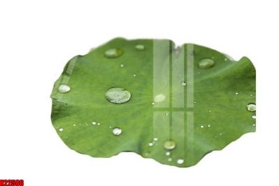 File gốc File tranh gốc in tranh tường nền tổng hợp H22586 (ảnh chi tiết) để in trần