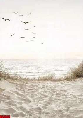 File tranh in trần File tranh gốc in tranh tường nền tổng hợp H22625 (ảnh gốc siêu nét)