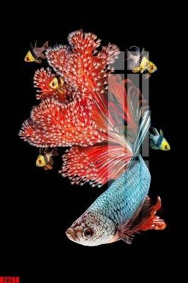 File in ấn chuyên nghiệp File tranh decor tranh bộ treo tường tổng hợp H2288 (file gốc)