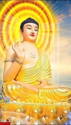 File tranh File tranh gốc in tranh tường nền tổng hợp H23042 (gốc) chủ đề động vật