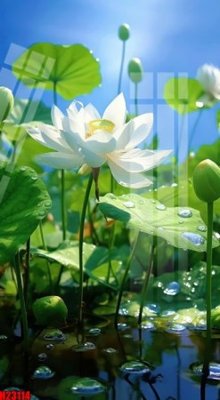 File in trần File tranh gốc in tranh tường nền tổng hợp H23114 (file gốc) phong thủy