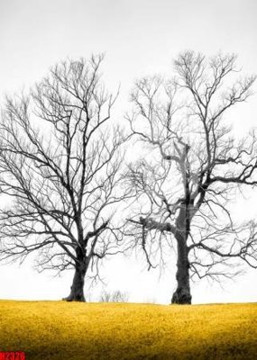 File tranh gốc File tranh decor tranh bộ treo tường tổng hợp H2326 (bản quyền) Filetranh.com