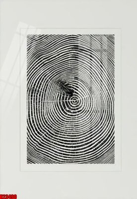 File tranh gốc in trần nhà File tranh gốc in tranh tường nền tổng hợp H23490 3D