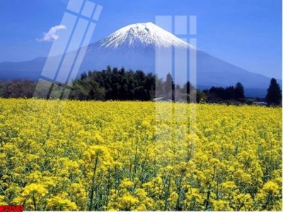 File in trần File tranh gốc in tranh tường nền tổng hợp H23507 (bản gốc) mây trời