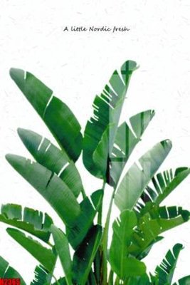 File tranh File tranh decor tranh bộ treo tường tổng hợp H2365 (gốc) chủ đề con người