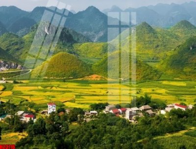 Tải file File tranh gốc in tranh tường nền tổng hợp H23716 (gốc) làm tranh trang trí