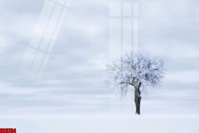 File gốc File tranh gốc in tranh tường nền tổng hợp H23734 (ảnh chi tiết) để in lụa