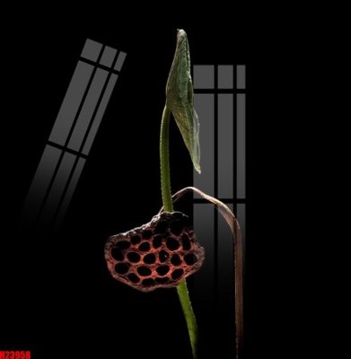 Tải file tranh File tranh gốc in tranh tường nền tổng hợp H23958 (ảnh gốc) ngay