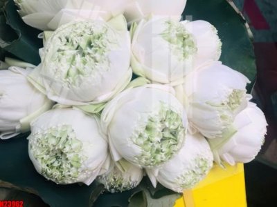 File ảnh File tranh gốc in tranh tường nền tổng hợp H23962 (gốc) in Hiflex