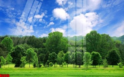 Download file gốc File tranh gốc in tranh tường nền tổng hợp H24110 (in lụa) hoa lá